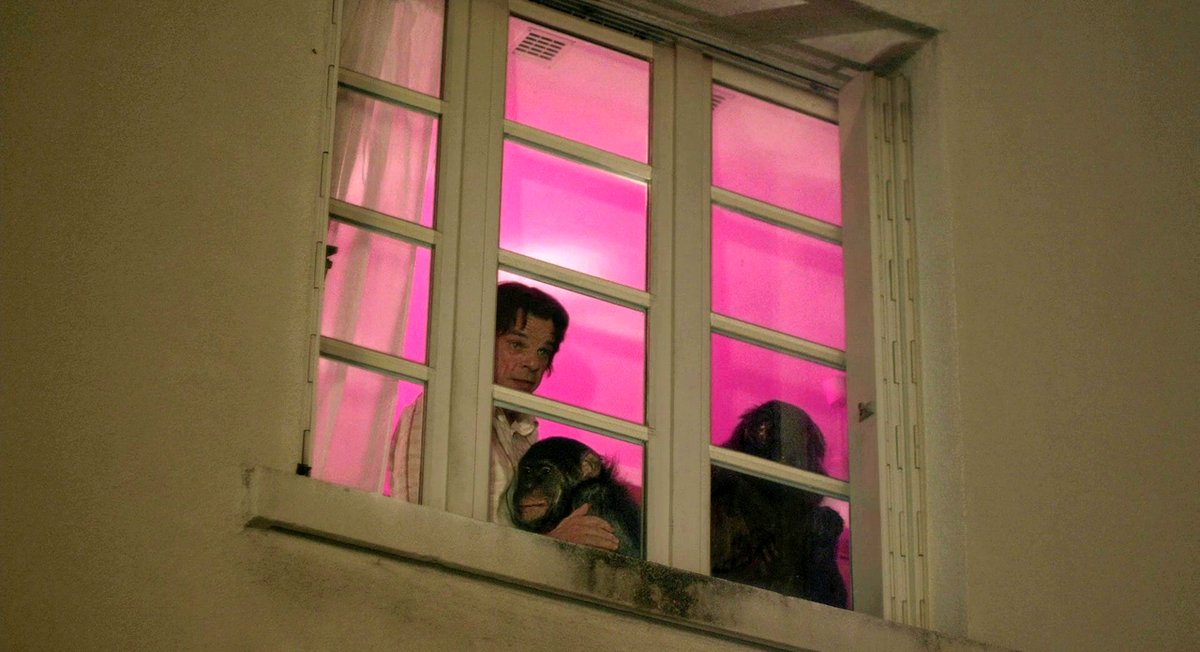 Photo du film Holy Motors