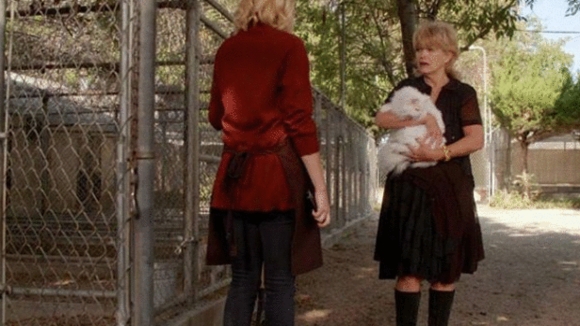 Photo du film The Dog Who Saved Easter