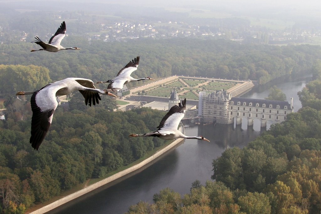 Photo from the movie Earthflight