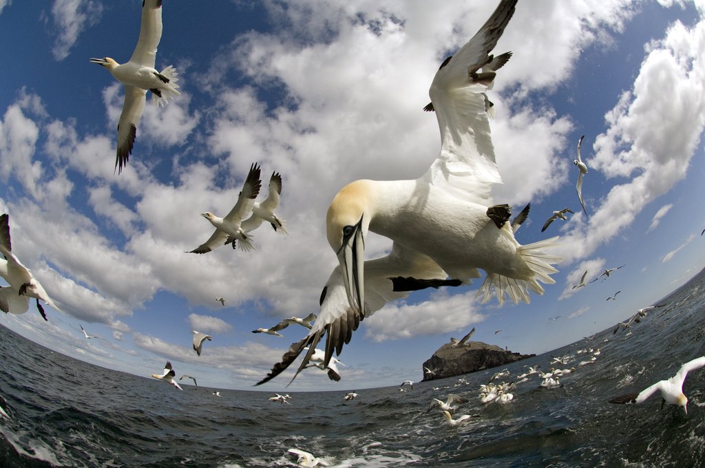 Photo from the movie Earthflight