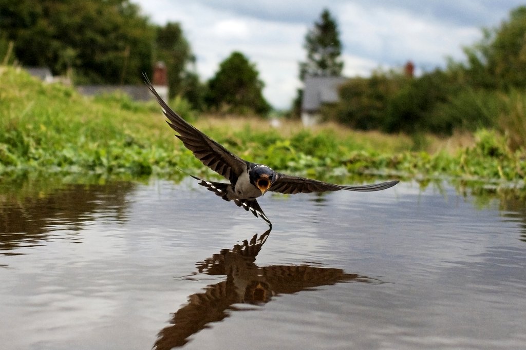 Photo from the movie Earthflight