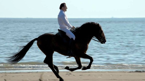 Photo du film En équilibre