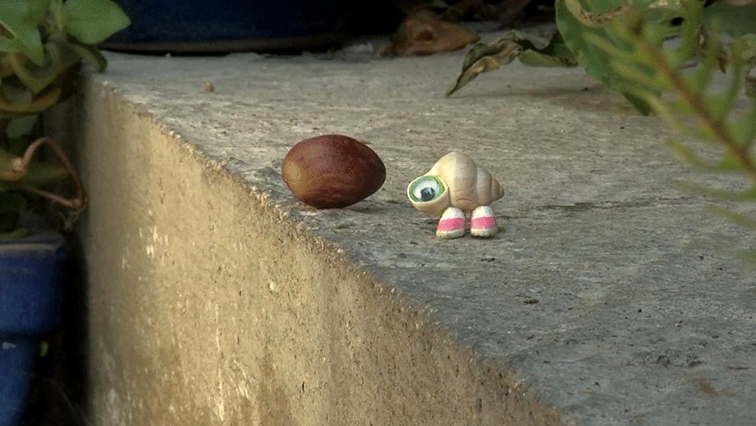 Photo from the movie Marcel the Shell with Shoes On