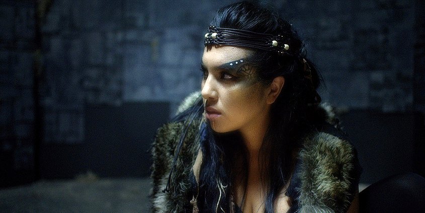 Photo from the movie The Northlander