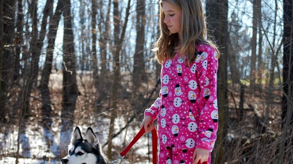 Photo du film A Dog for Christmas