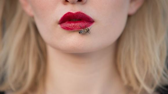 Photo du film Obsession