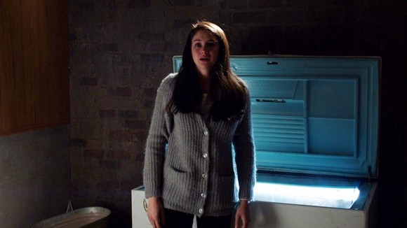 Photo du film White Bird in a Blizzard