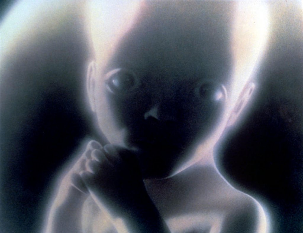Photo du film 2001: A Space Odyssey