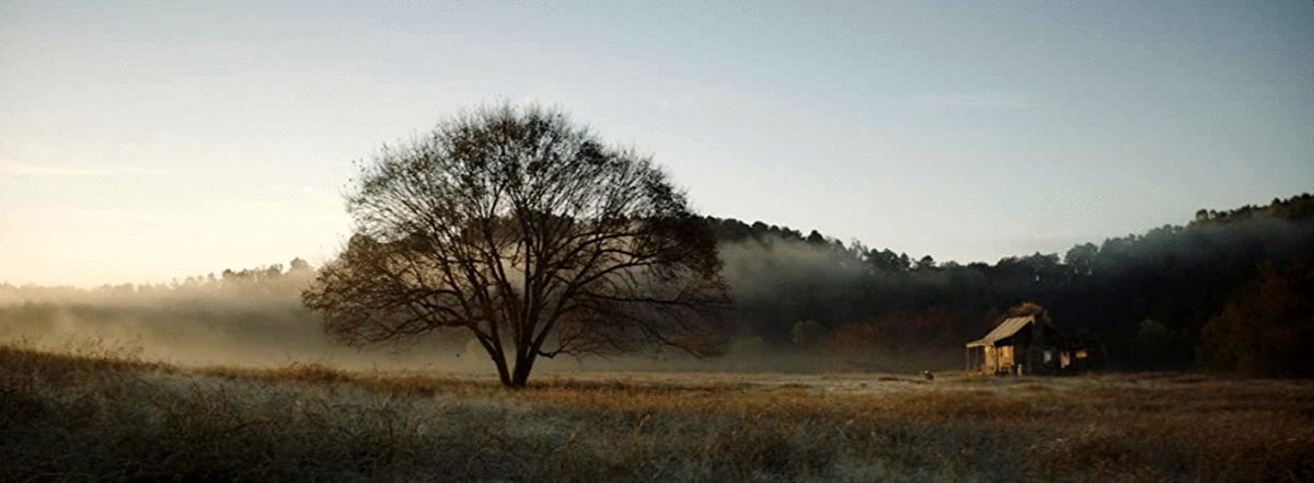 Photo du film Freedom's Path