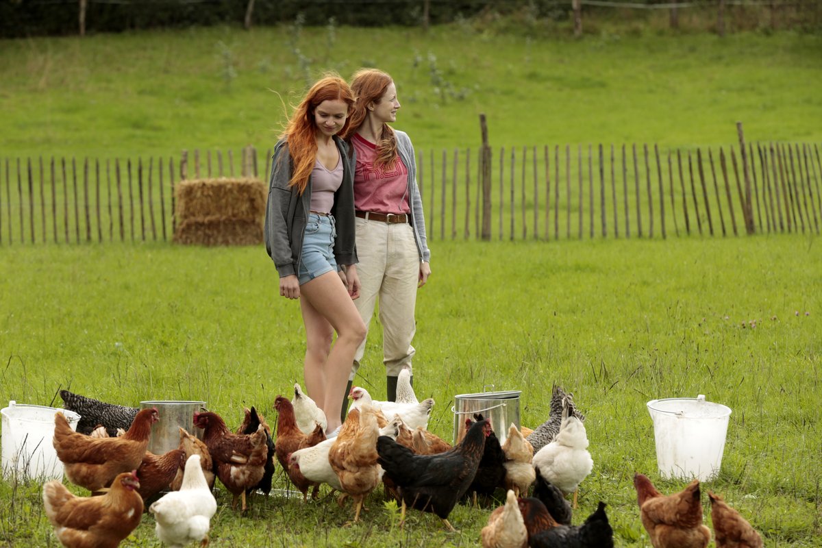 Photo du film Au fil des saisons