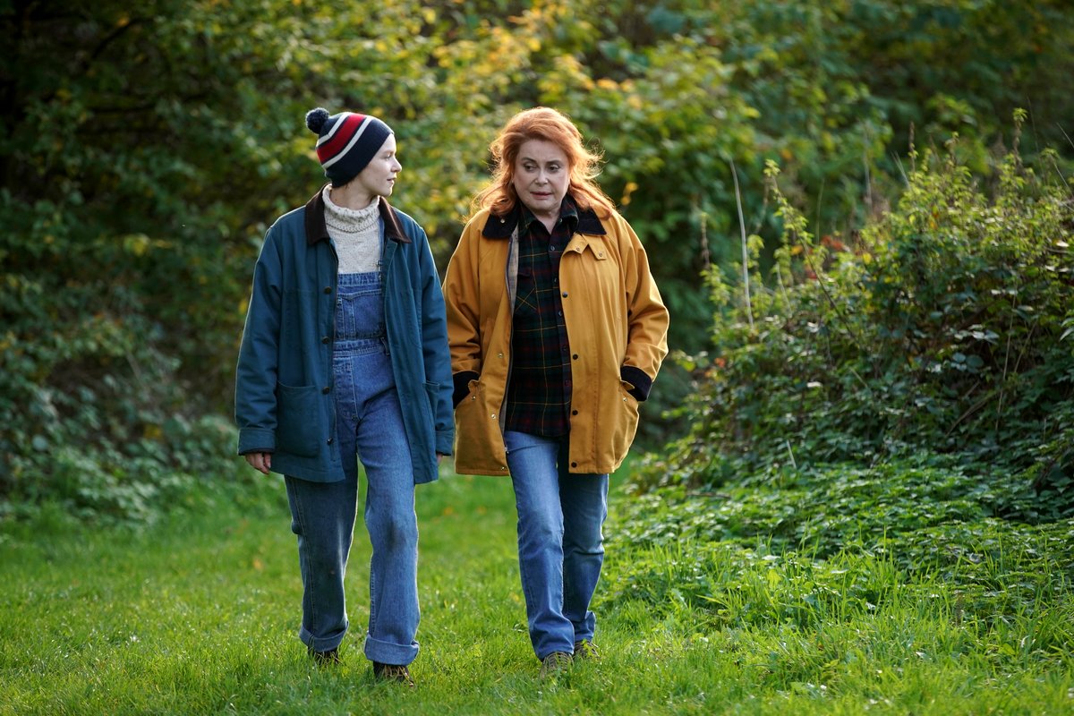 Photo du film Au fil des saisons