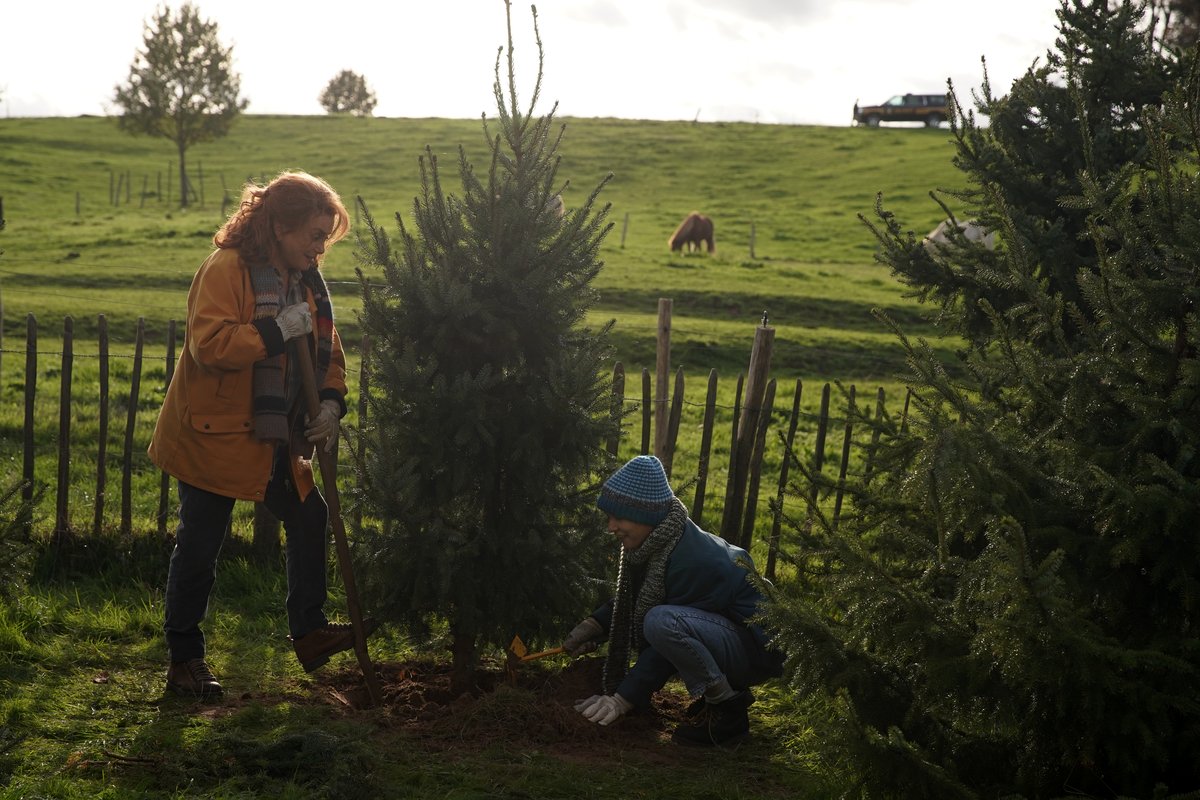 Photo du film Au fil des saisons