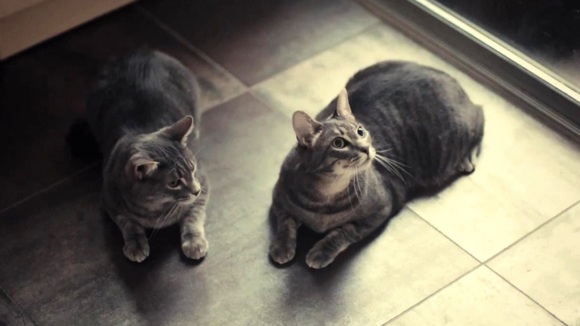 Photo from the movie Mistress America