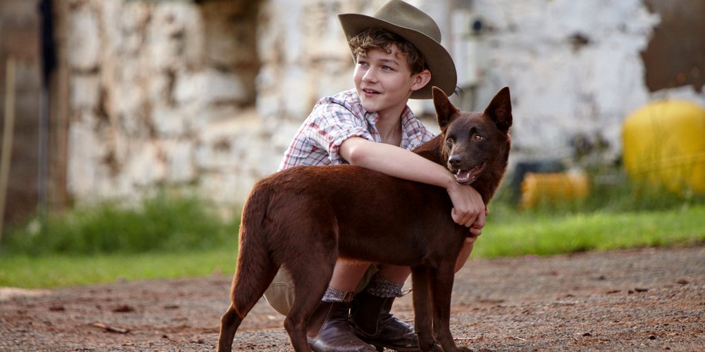 Photo du film Red Dog: True Blue