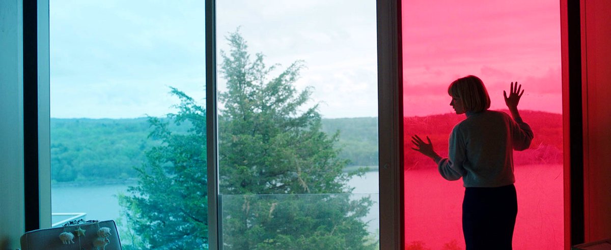 Photo du film Swallow