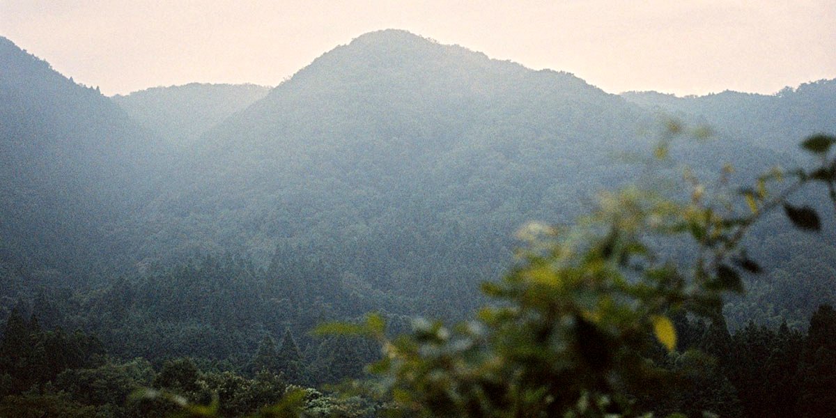 Photo du film The Works and Days, of Tayoko Shiojiri in the Shiotani Basin
