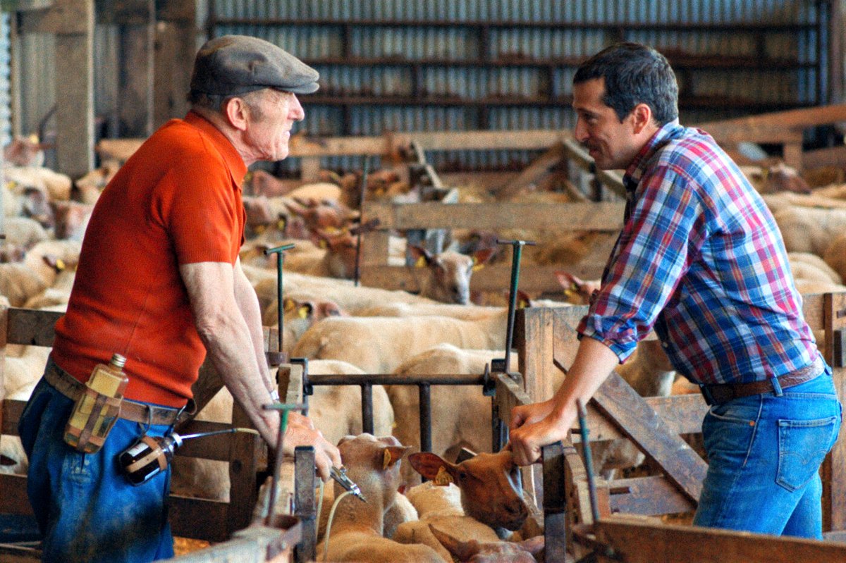 Photo du film Au nom de la terre