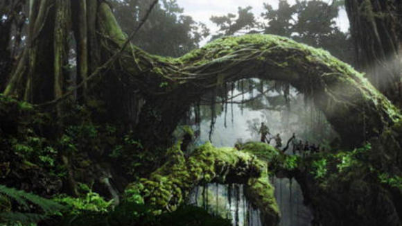 Photo du film King Kong