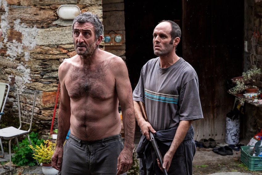 Photo du film Les bêtes