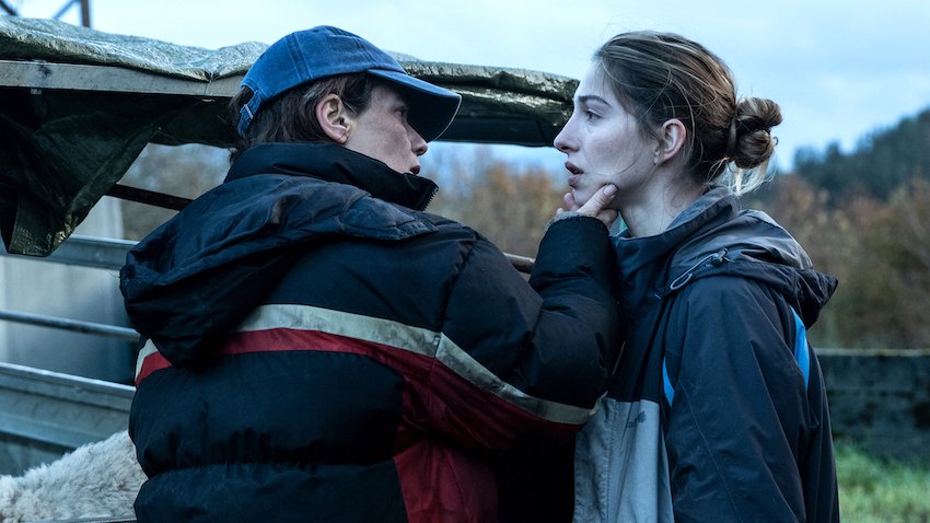 Photo du film Les bêtes