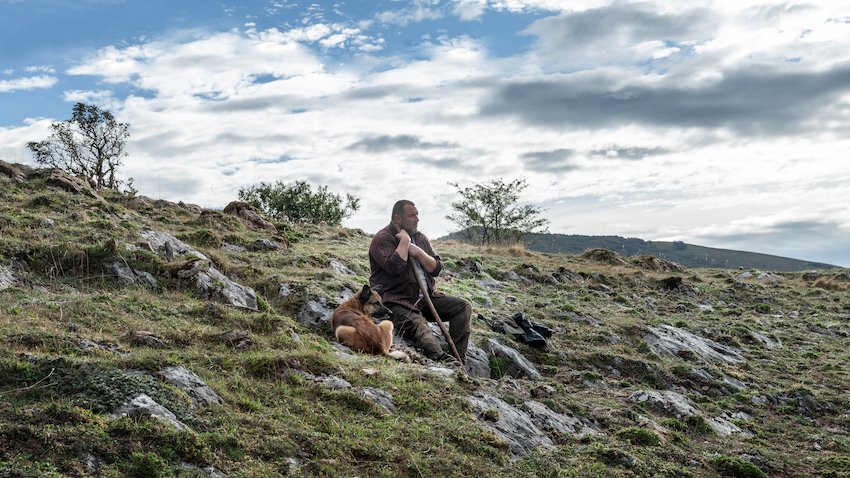 Photo du film Les bêtes