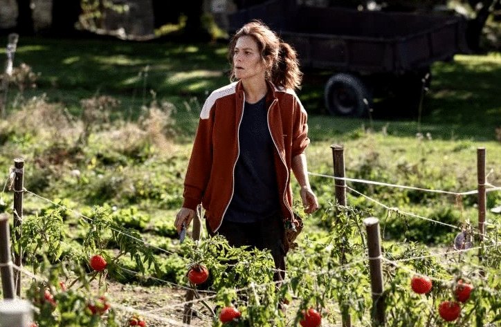 Photo du film Les bêtes