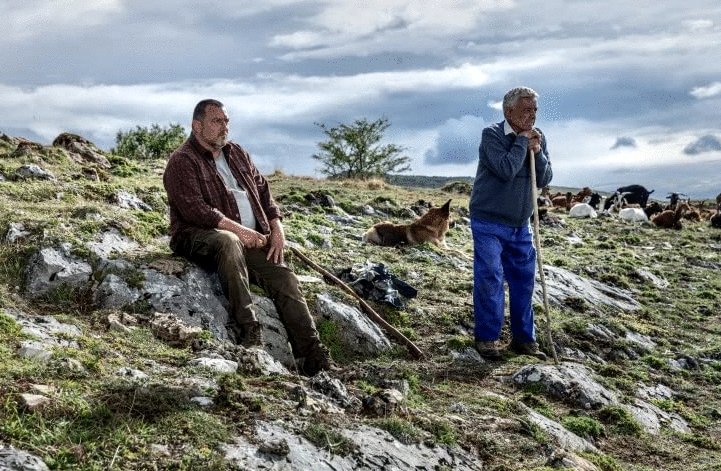 Photo du film Les bêtes