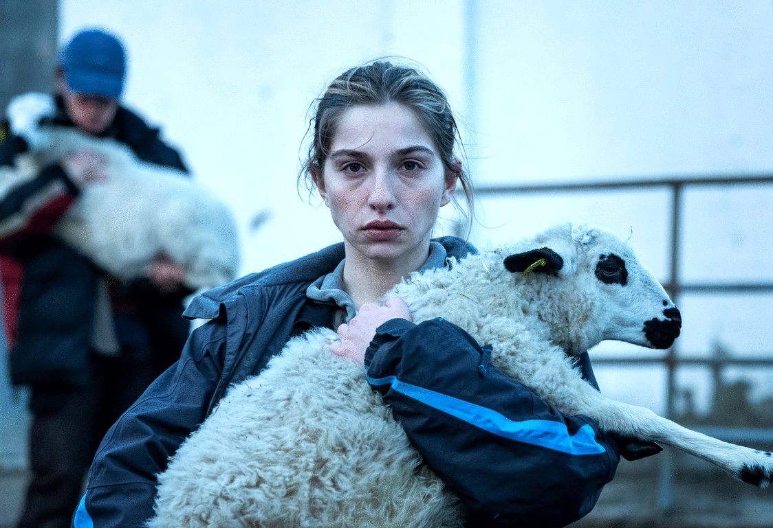 Photo du film Les bêtes