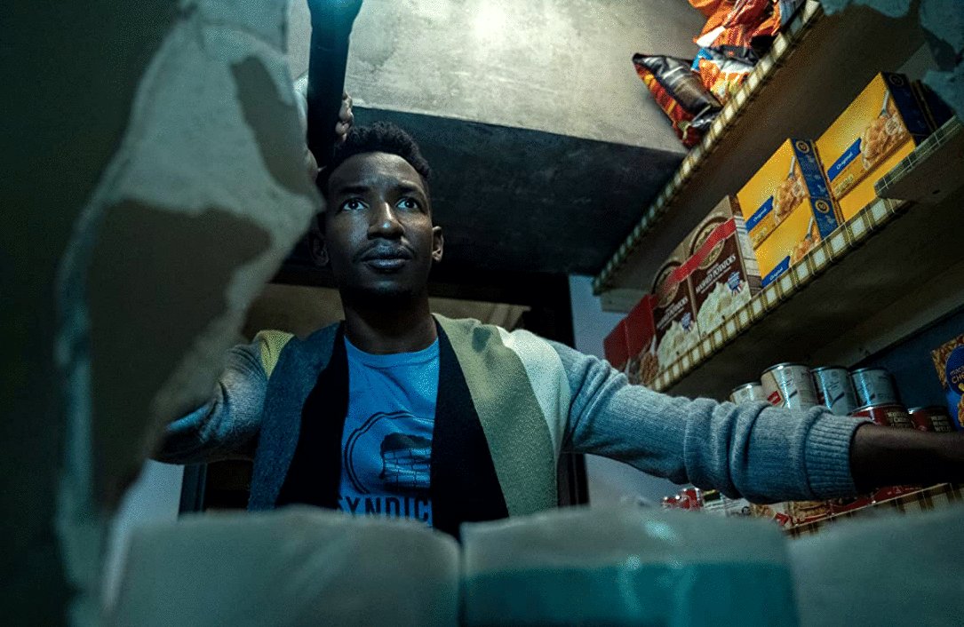 Photo du film Archive 81