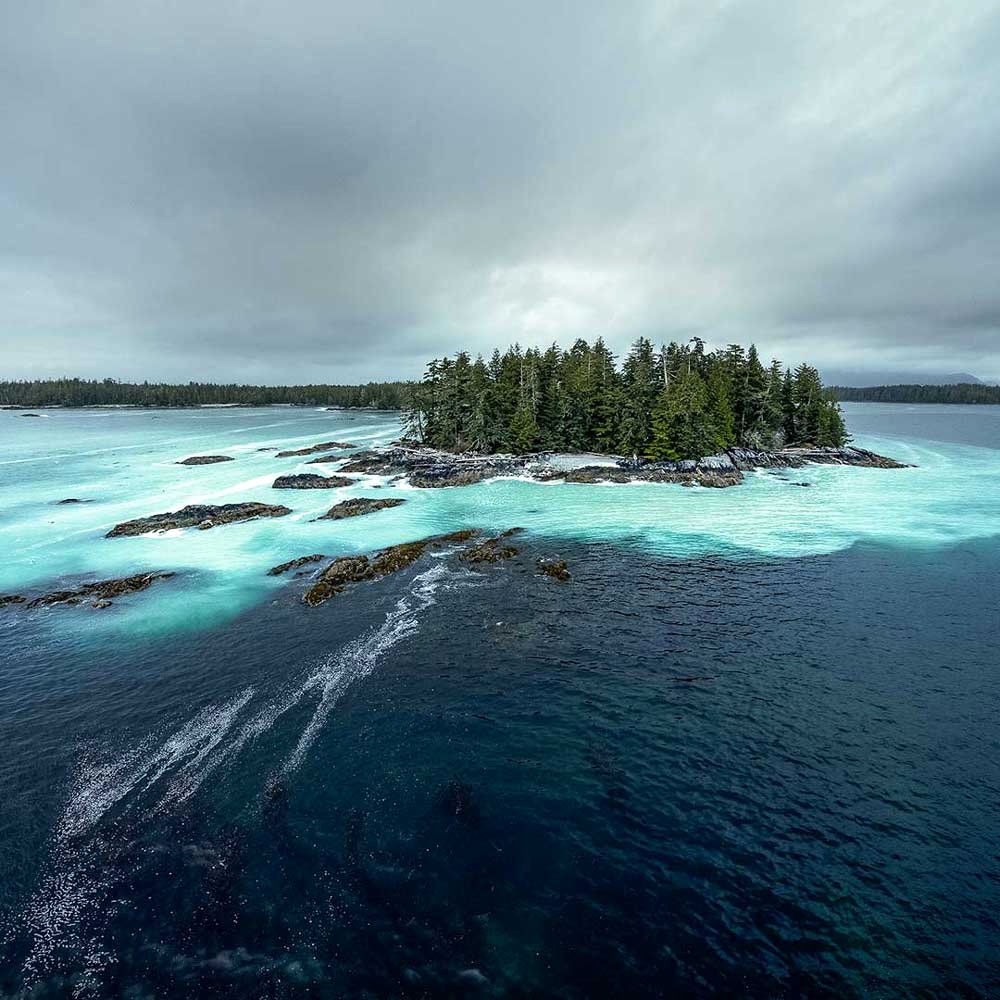 Photo from the movie Dans la forêt de l'ours esprit