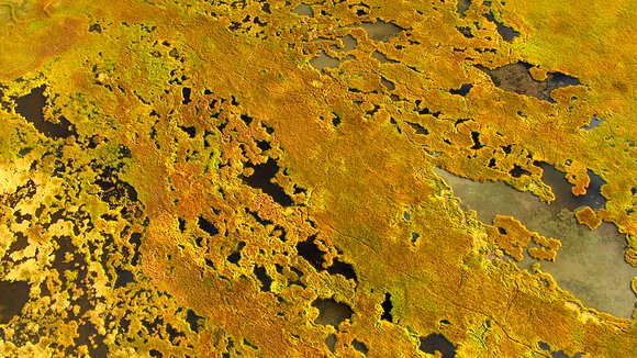 Photo from the movie Living in the Age of Airplanes