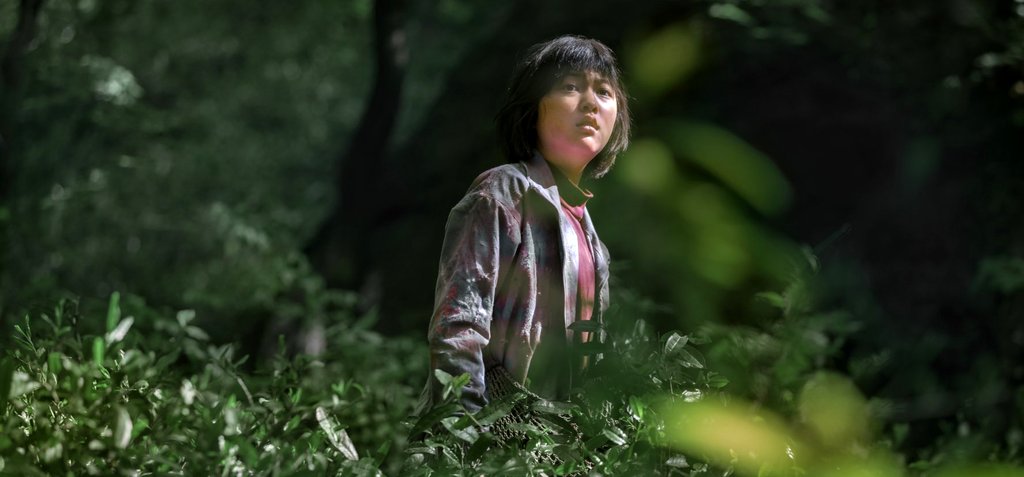 Photo from the movie Okja