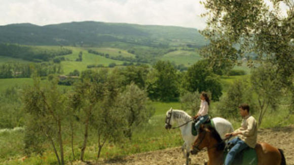 Photo from the movie The Shadow Dancer