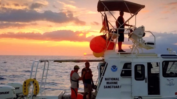 Photo from the movie Humpback Whales