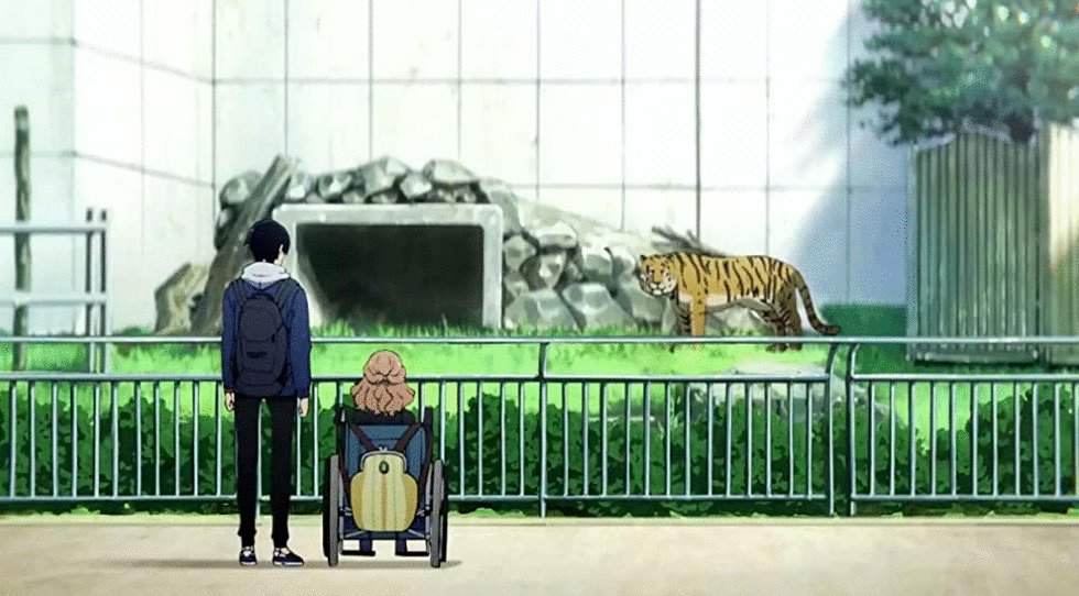 Photo du film Josee, the Tiger and the Fish