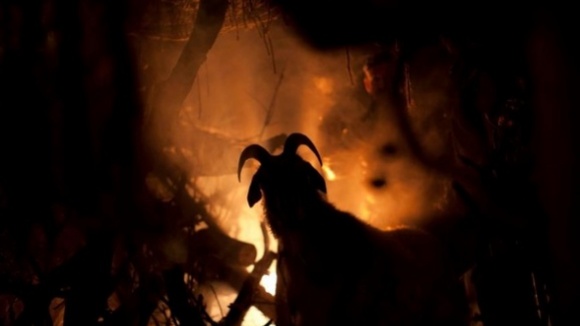 Photo du film Les Seigneurs de Salem