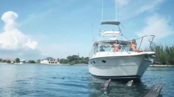 Photo du film Beneath the Blue