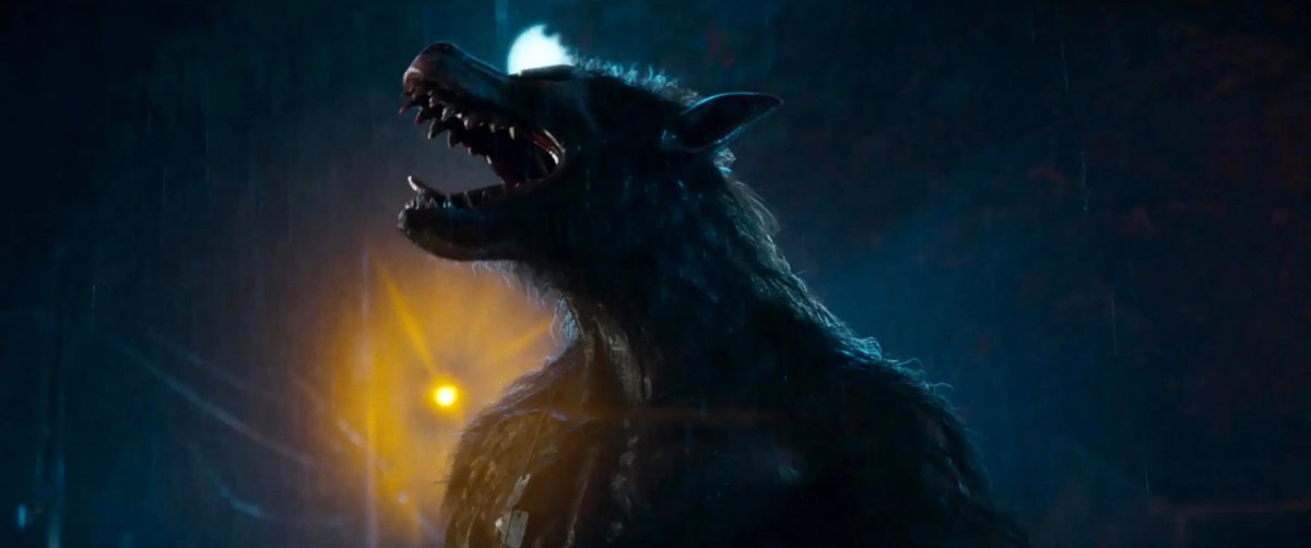 Photo du film Les Loups-Garous