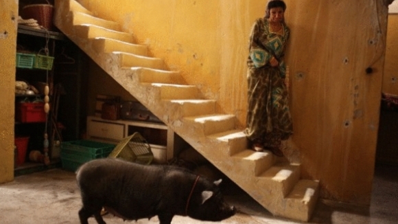 Photo du film Le Cochon de Gaza