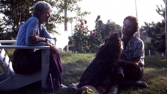 Photo from the movie Twenty Days with Anne