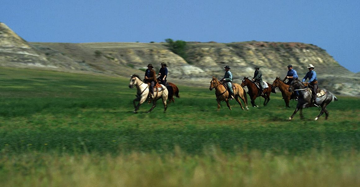 Photo du film End of the Rope