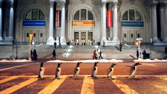 Photo du film M. Popper et ses manchots