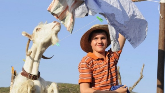 Photo du film Nicostratos le pélican