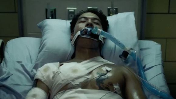 Photo du film Revenge of The Green Dragons