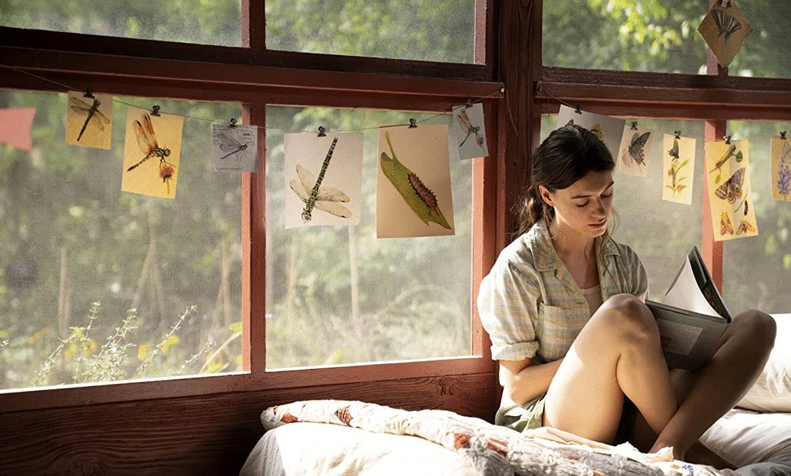 Photo du film Where the Crawdads Sing