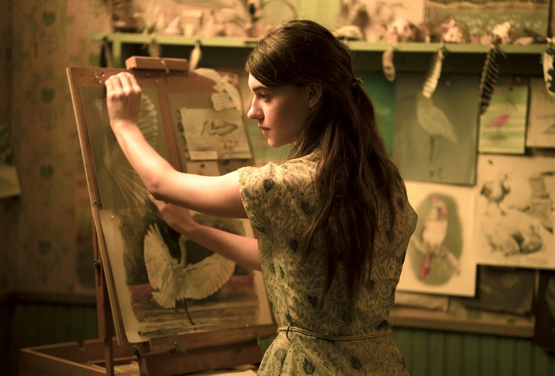 Photo du film Where the Crawdads Sing