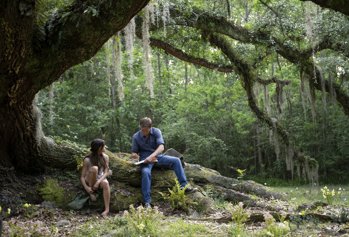 Photo du film Where the Crawdads Sing