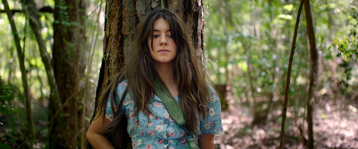 Photo du film Where the Crawdads Sing