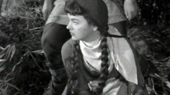 Photo du film The Adventures of Robin Hood