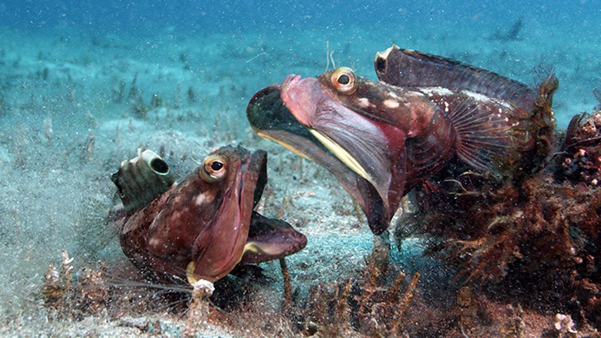 Photo from the movie Secrets of the Sea